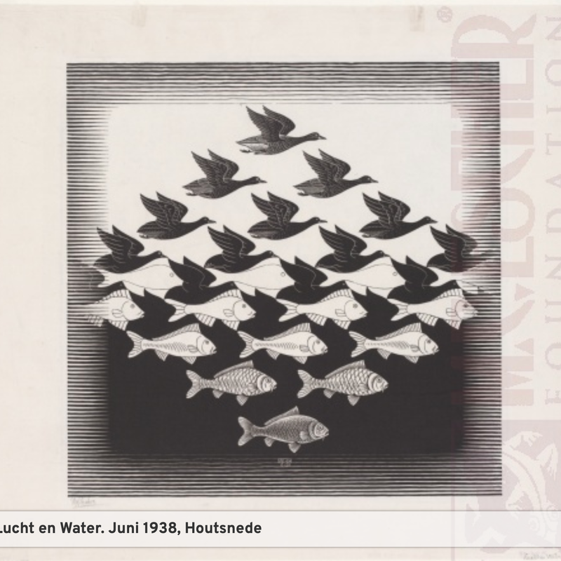 Metamorfoses-MCEScher